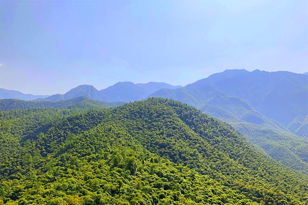 西宁邮政业用户申诉投诉处理工作获市委、市政府通报表扬