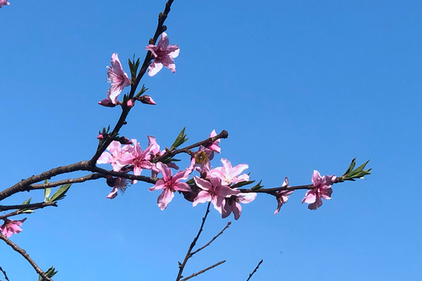 山东魏桥特宽幅印染有限公司顺利完成ISO四体系认证审核