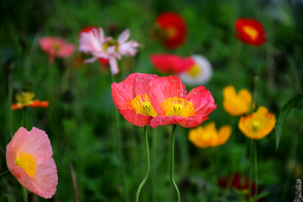 数据｜2025年纺织服装出口额2937.7亿美元，整体表现好于预期