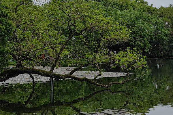 领导讲话 | 孙瑞哲会长在中国财贸轻纺烟草工会与中国纺织工业联合会第二十三次联席会议上的讲话